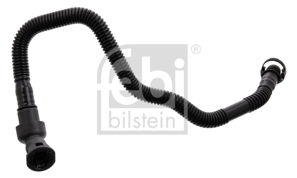 Hose, crankcase ventilation